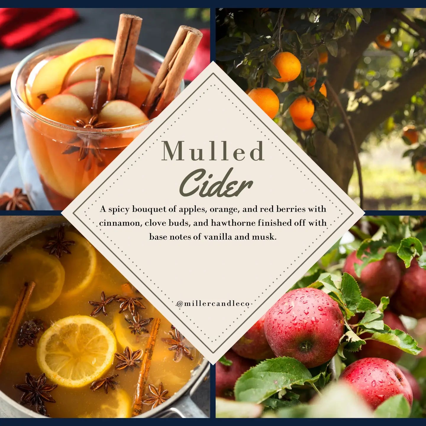 Mulled Cider Reed Diffuser - Limited Winter Collection - MillerCandleCo.