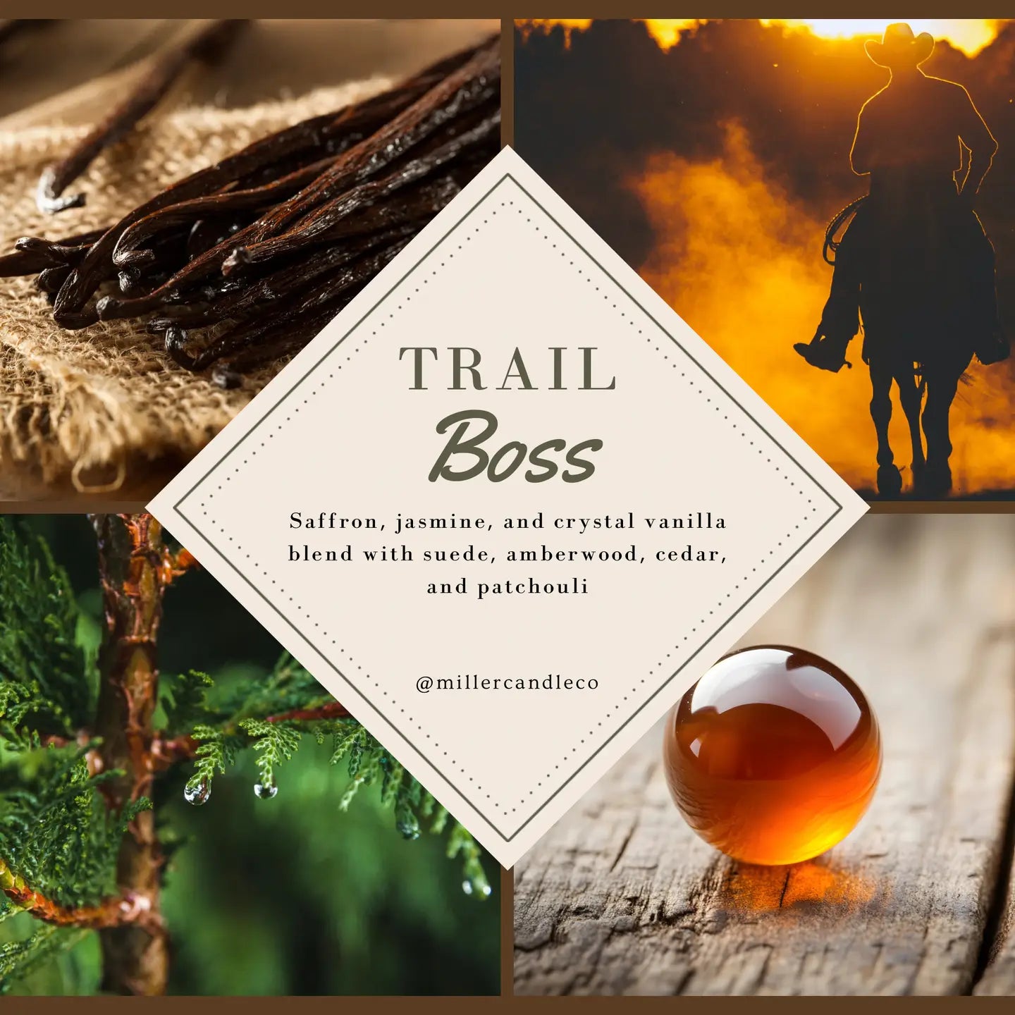 Trail Boss — Roll-On Cologne