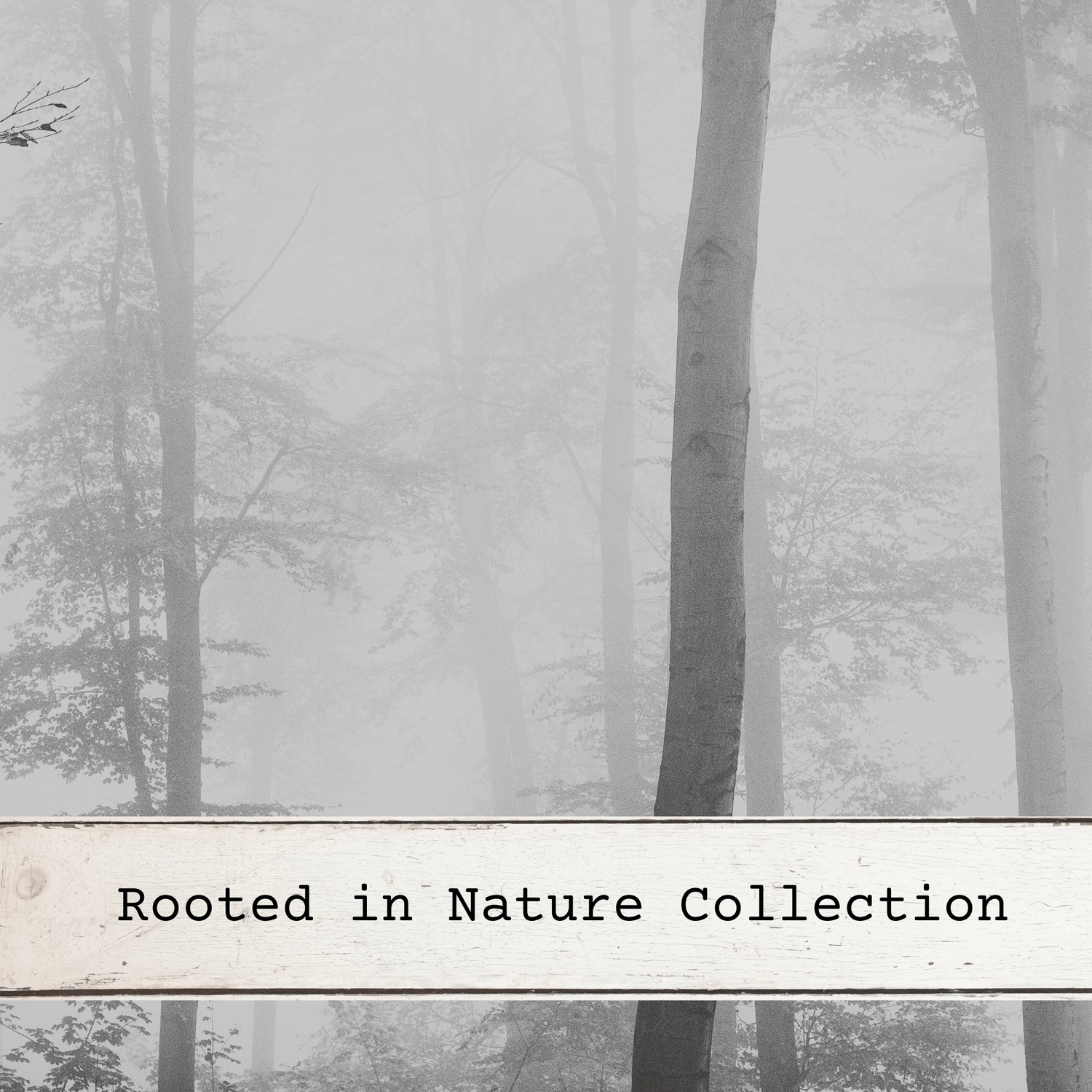 Rooted in Nature Collection - MillerCandleCo.