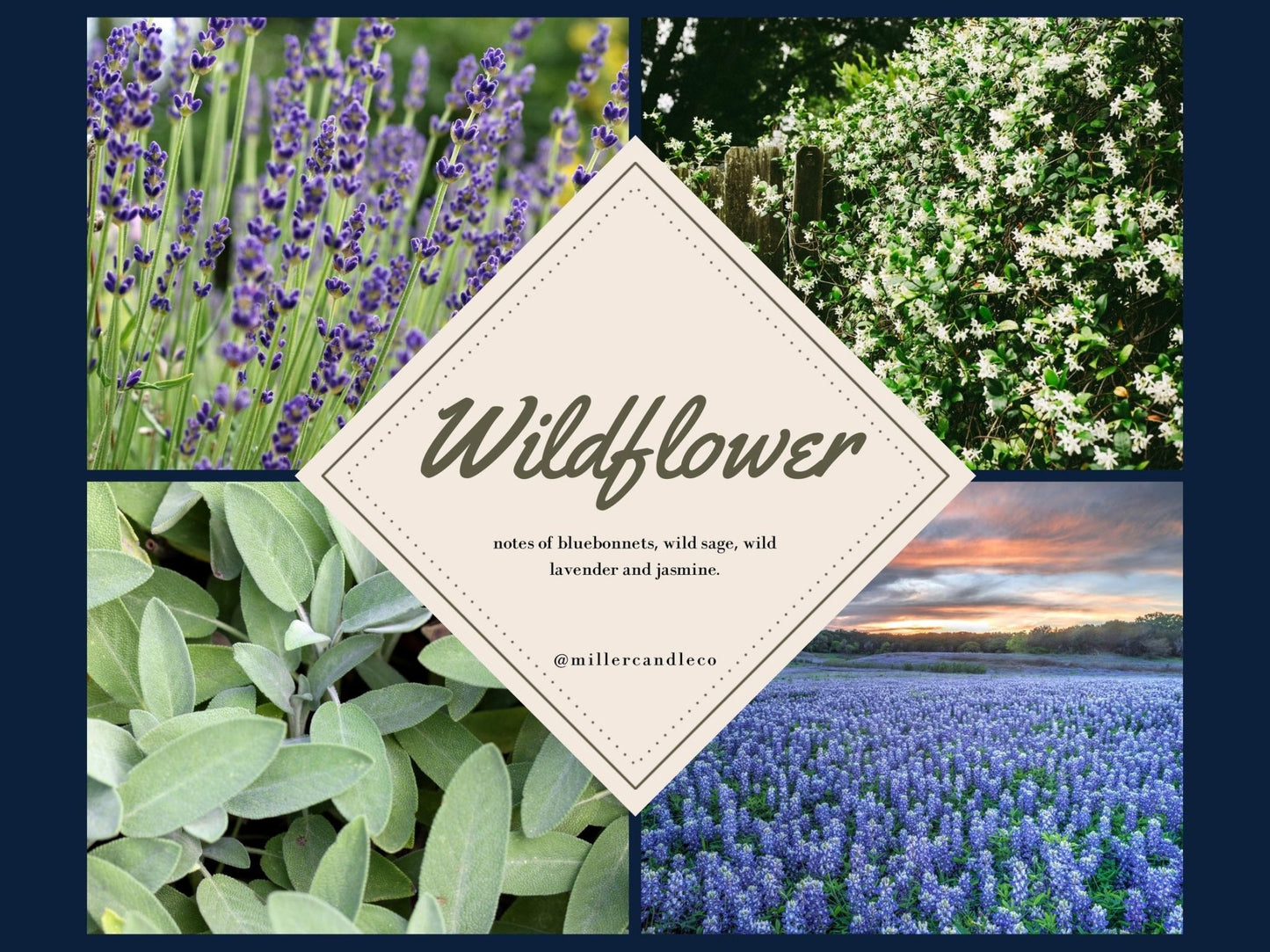Wildflower — Goat Milk + Honey Lotion - Miller Candle Co.