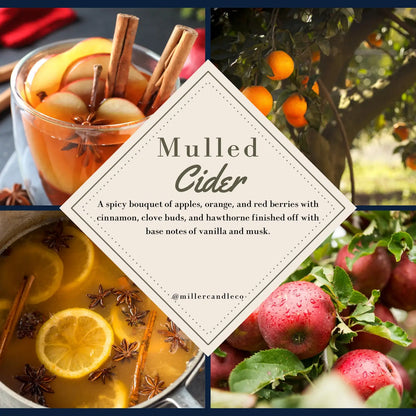 Mulled Cider Reed Diffuser - Limited Winter Collection - MillerCandleCo.