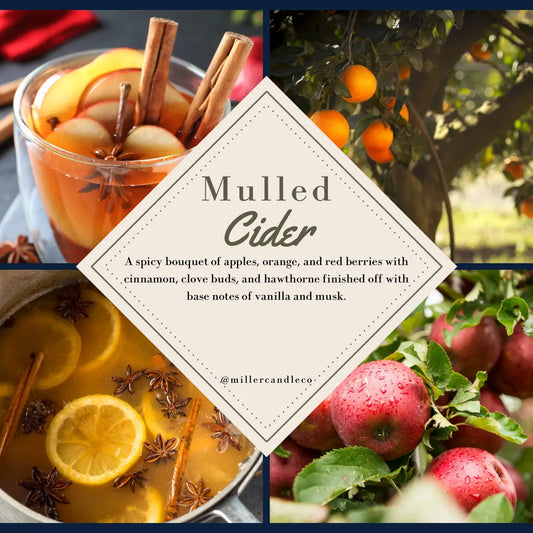 Mulled Cider Reed Diffuser - Limited Winter Collection - MillerCandleCo.