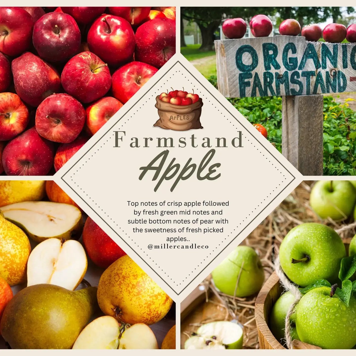 Farmstand Apple - Goat Milk + Honey Lotion - Miller Candle Co.