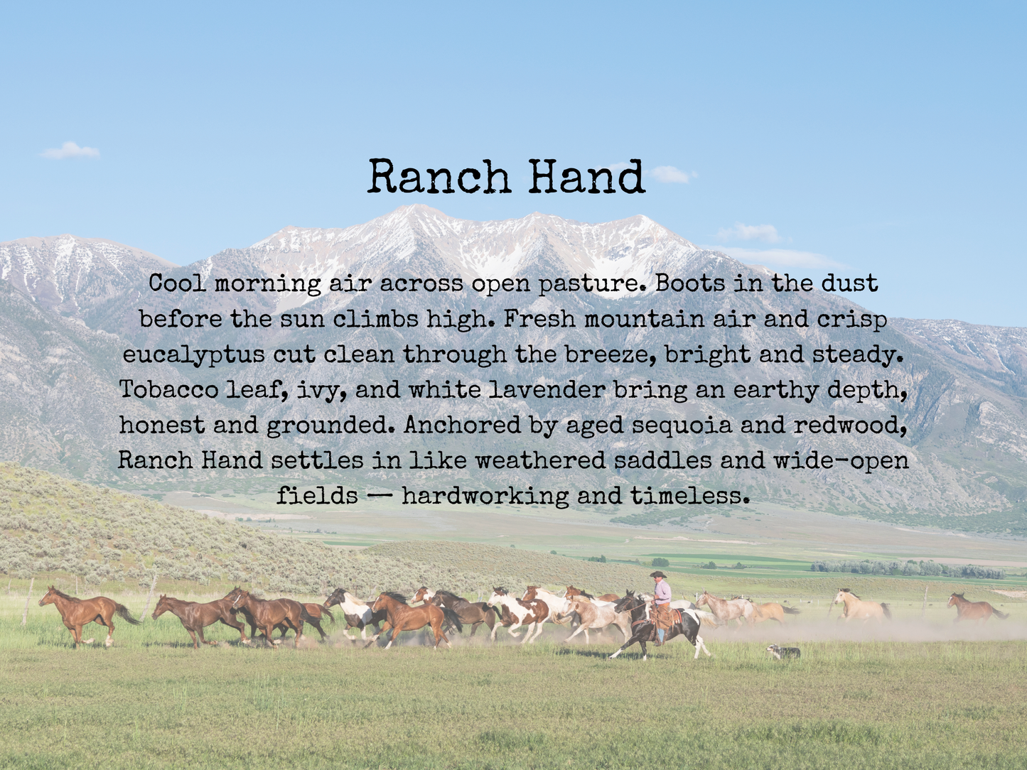 Ranch Hand Candle