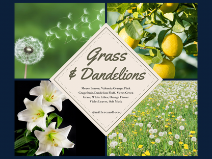 Grass & Dandelions Car Diffuser