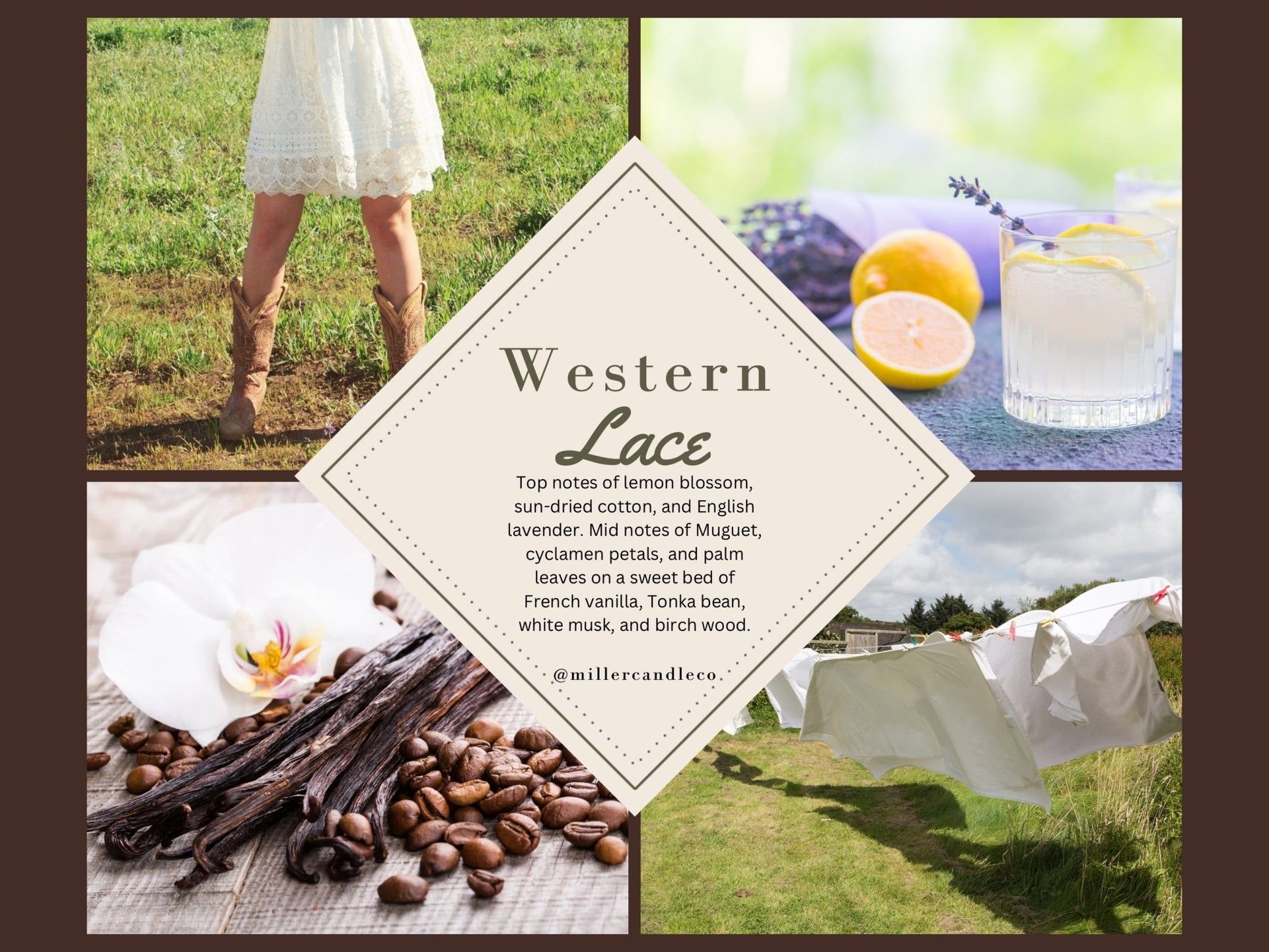 Western Lace — Goat Milk + Honey Lotion - Miller Candle Co.