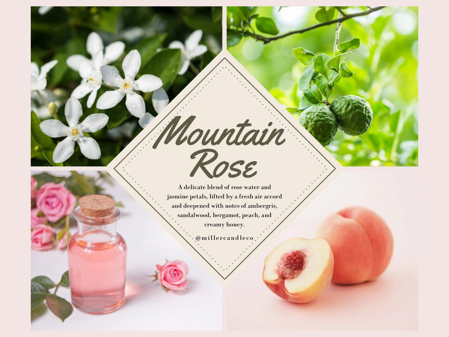 Mountain Rose - Goat Milk + Honey Lotion - Miller Candle Co.