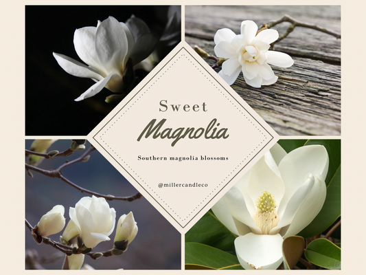 Sweet Magnolia Candle