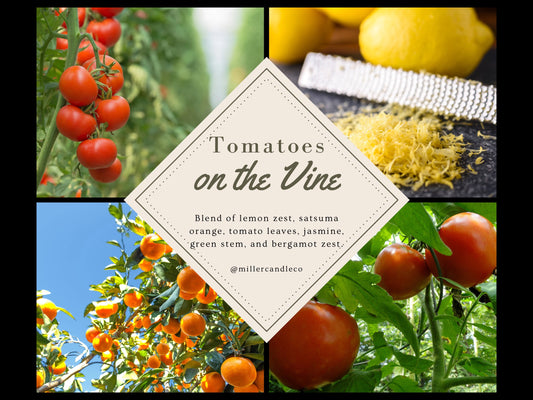 Tomatoes on the Vine Wax Melts