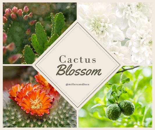 Cactus Blossom Wax Melts - MillerCandleCo.