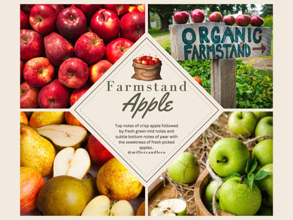 Farmstand Apple Wax Melts - MillerCandleCo.