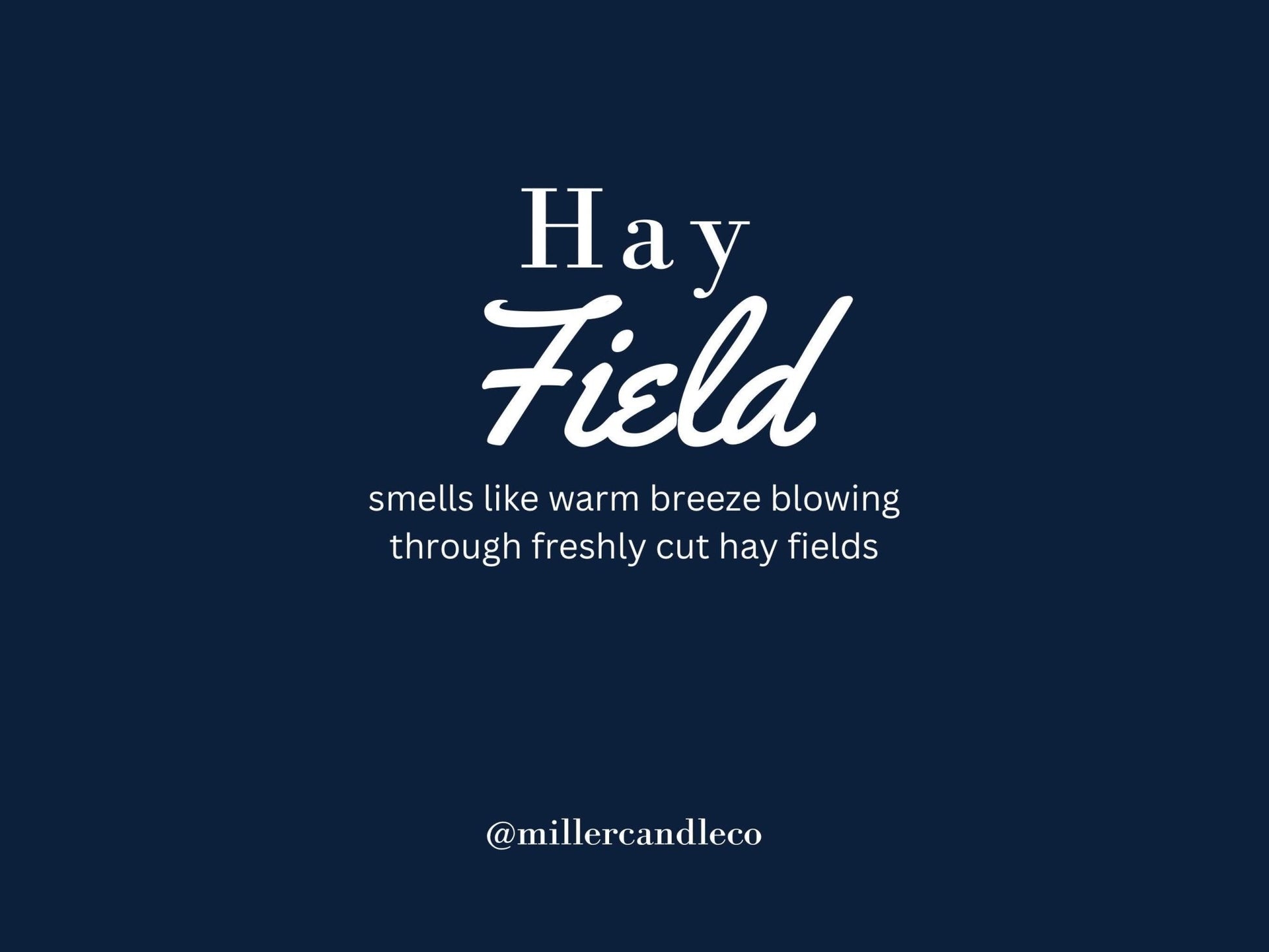 Hay Field Candle - MillerCandleCo.
