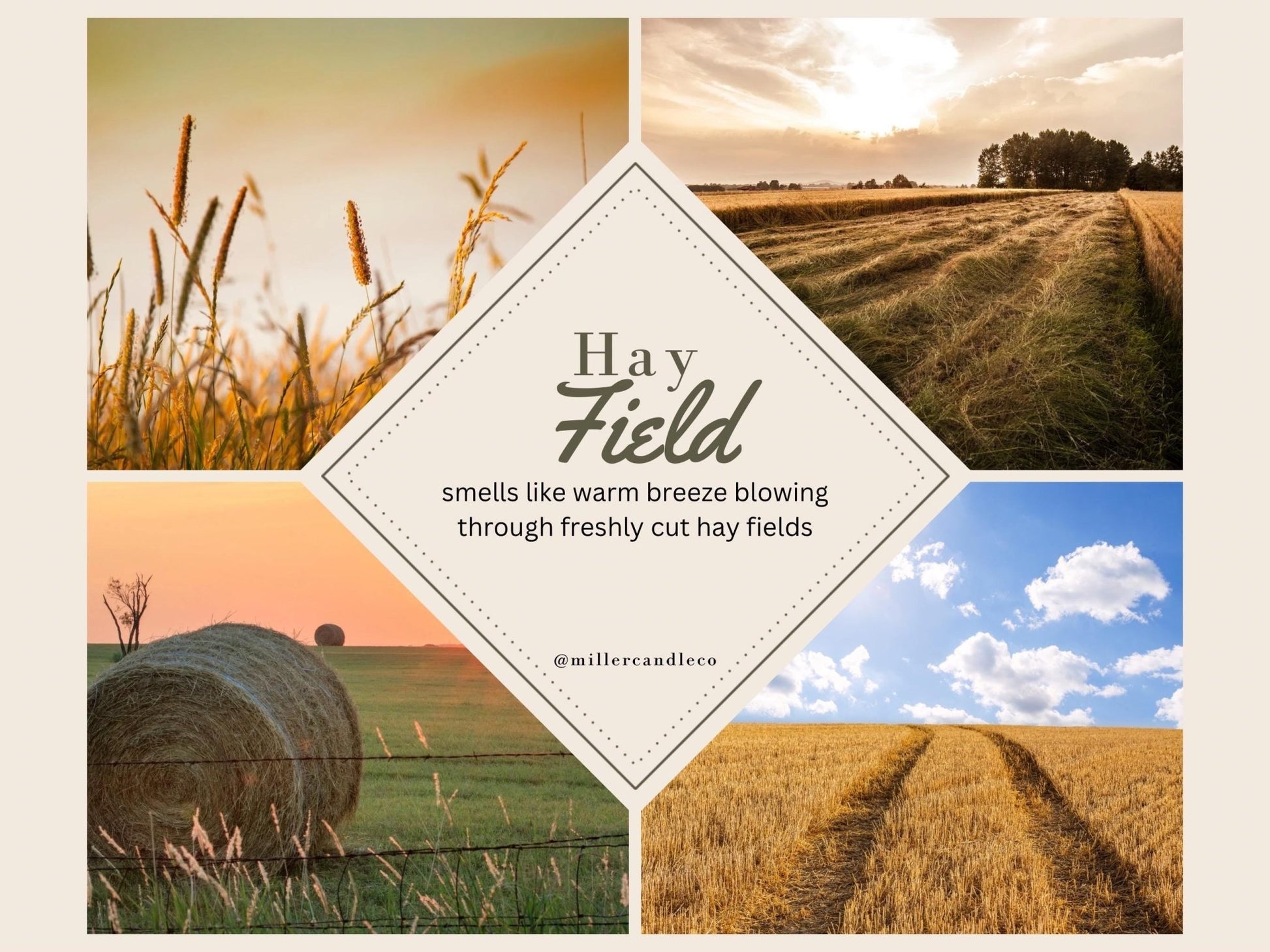 Hay Field Wax Melts - MillerCandleCo.
