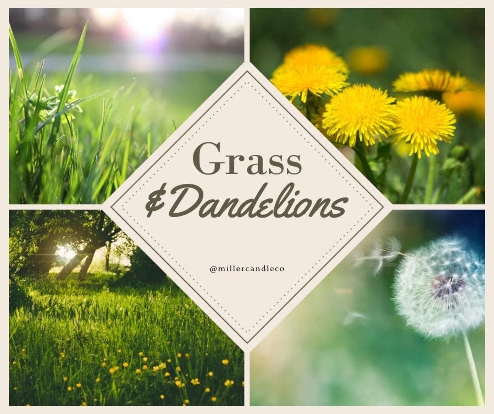 Grass & Dandelions Candle - MillerCandleCo.