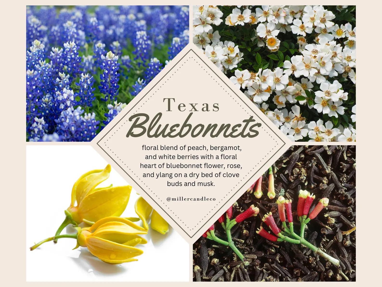Texas Bluebonnets Candle - MillerCandleCo.