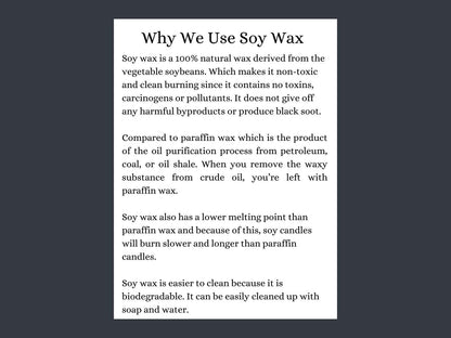 Cinnamon Sticks Candle - Limited - Time Winter Collection - MillerCandleCo.